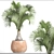  Bottle Palm Tree: Exotic and Beautiful 3D model small image 3