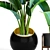  Exotic Ravenala Collection: 79 Plants 3D model small image 2