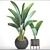  Exotic Ravenala Collection: 79 Plants 3D model small image 3