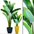 Exotic Plant Collection: Ravenala 3D model small image 1