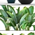 Exotic Plant Collection: Ravenala 3D model small image 2