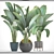 Exotic Plant Collection: Ravenala 3D model small image 3