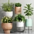 Botanical Bliss Planters Set 3D model small image 1