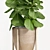 Stylish Ficus Lyrata: Green Elegance 3D model small image 2