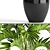 Exquisite Howea Palm: Forsteriana 3D model small image 2