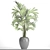 Exquisite Howea Palm: Forsteriana 3D model small image 3