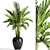 Kentia Palm: Elegant and Easy 3D model small image 1