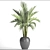 Kentia Palm: Elegant and Easy 3D model small image 3