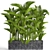 Tropical Paradise: Dypsis Lutescens 3D model small image 1