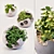 Modern Concrete Planters with Lush Greenery 3D model small image 1