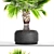 Exotic Brahea Edulis Palm 3D model small image 2