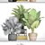 Tropical Plant Collection: Bismarkia, Alocasia, Howea 3D model small image 3