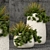 Botanical Bliss: 57 Botanical Beauties 3D model small image 1