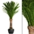 Exquisite Date Palm Tree 3D model small image 1