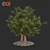 Charming Pine Miniature 3D model small image 1