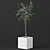 Small Ficus Benjamin Model - 129cm 3D model small image 1