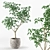Miniature Potted Tree: Petite and Perfect 3D model small image 1
