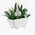 Tulip Bath Delight 3D model small image 1