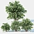 Enhanced Philadelphus Blossom Beauty 3D model small image 1
