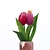 Elegant Tulip Invaze Vase 3D model small image 2