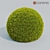 Cupresus_Ball 3D Plant Model 3D model small image 1