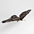 Fierce Falcon: A Powerful and Agile Predator 3D model small image 3