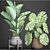 Tropical Paradise: Collection of Exquisite Plants 3D model small image 3