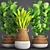 Lush Collection of Leafy Plants 3D model small image 1