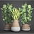 Lush Collection of Leafy Plants 3D model small image 3