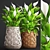 Evergreen Collection: Spathiphyllum 3D model small image 1