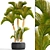 Golden Palm Collection 3D model small image 1