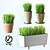 Modern Home Plant Set 

Translation: 
Set of simple indoor plants with pots, perfect for interior design. Features high-quality voluminous grass. 3D model small image 1