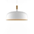 Elegant Acorn Pendant Light 3D model small image 1