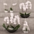 Exquisite Orchid Collection 3D model small image 1