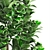 Green Oasis: Plant Collection 104 3D model small image 2