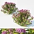 Scatter-Ready Spirea Japonica 3D model small image 1