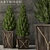 Lush Greenery: 64 Plant Collection 3D model small image 1