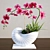 Elegant Blooming Orchid 3D model small image 1