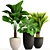 Exotic Plant Collection: Palm & Licuala 3D model small image 1