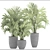 Tropical Palm Collection 118 3D model small image 3