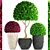 118 Plant Collection: Topiary Haven 3D model small image 1