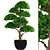 Niwaki Topiary Tree 3D model small image 1