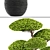 Niwaki Bonsai Tree Sculpture 3D model small image 2