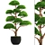 Niwaki Bonsai Cedar 3D model small image 1