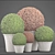 Lush Topiary Collection: 121 Plants 3D model small image 3