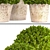 Botanical Bliss: Topiary Collection 3D model small image 2