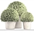 Botanical Bliss: Topiary Collection 3D model small image 3