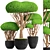 Niwaki Collection: Bonsai & Topiary 3D model small image 1
