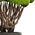 Niwaki Bonsai Cedar Tree 3D model small image 2