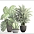 Tropical Plant Collection: Howea, Monstera, Sansevieria 3D model small image 3